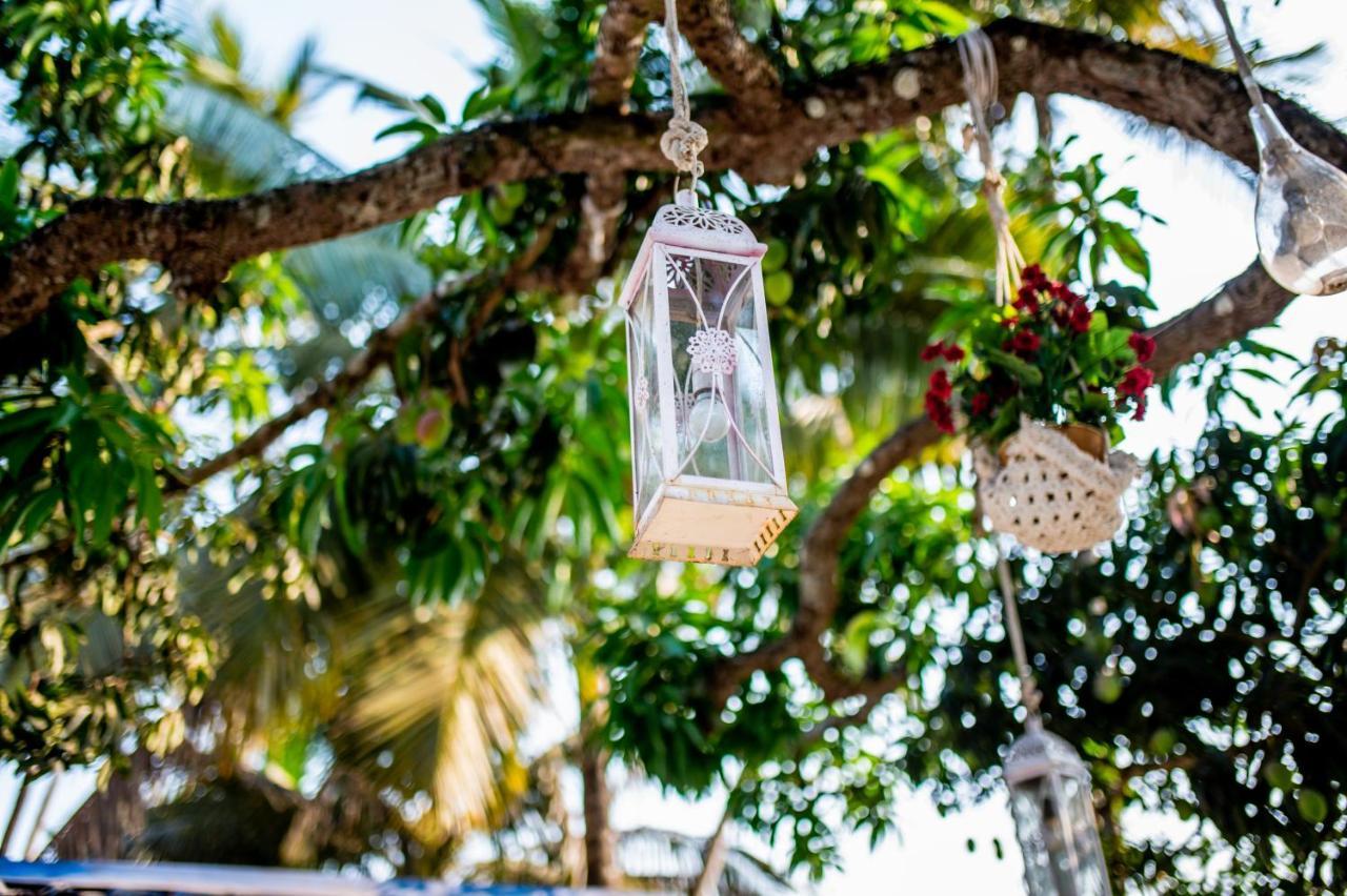 Bed and Breakfast White House In Goa, Truly Amazing Experience à Saligao Extérieur photo